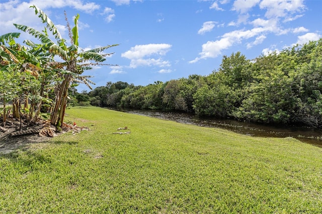 929 Hialeah St, Rockledge, FL 32955 - view of yard