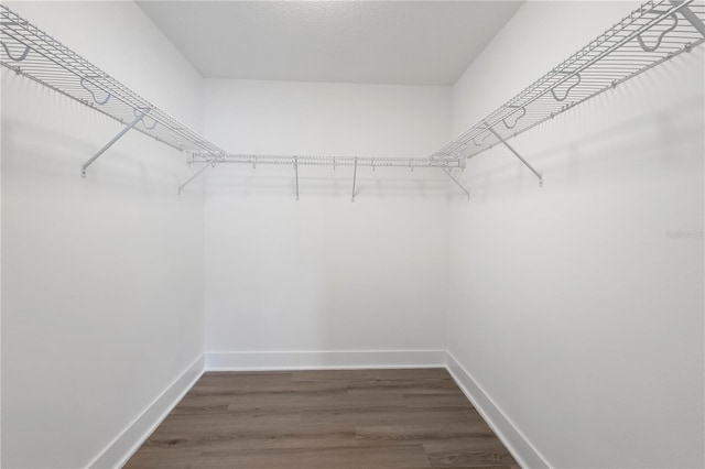 walk in closet featuring dark hardwood / wood-style flooring