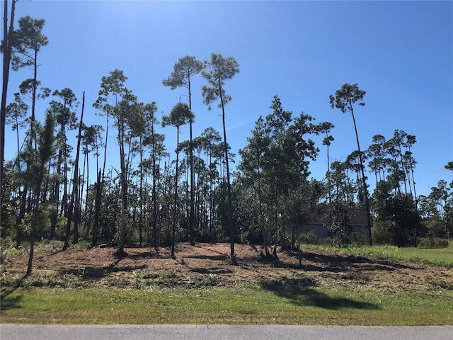 1016 Tidewater Ln, Panama City, FL 32404 - photo 3