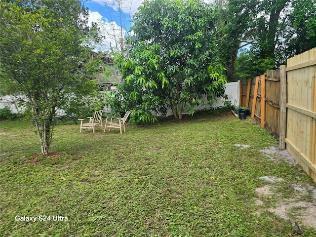 1461 N Felton St, Deltona, FL 32725 - view of yard