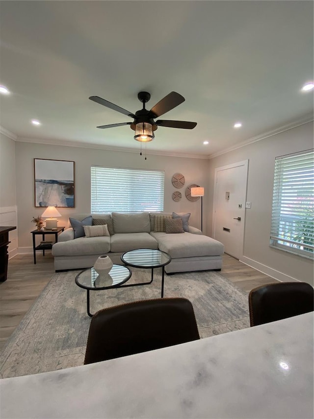 living room with light hardwood / wood-style floors, plenty of natural light, and crown molding