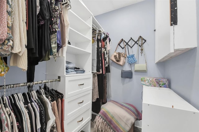 view of walk in closet