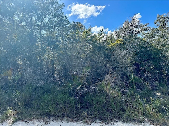 TBD Hon Avenue, Lake Helen, FL 32744