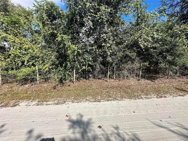 TBD Hon Avenue, Lake Helen, FL 32744
