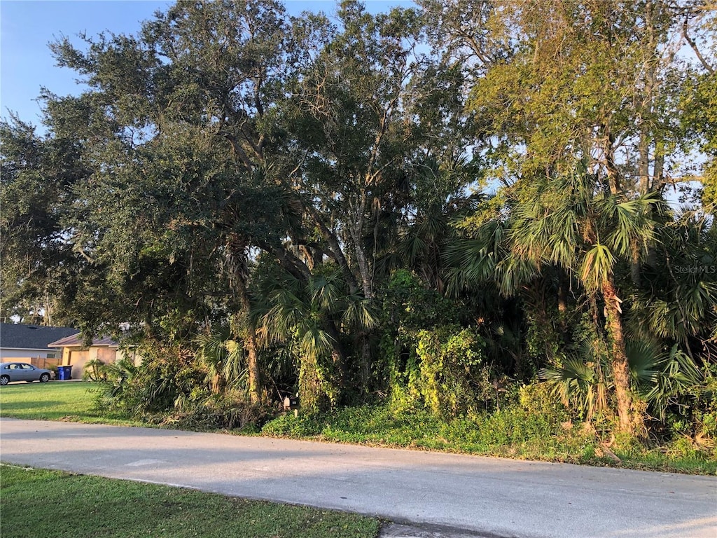 Queen Palm Dr, Edgewater, FL 32141 - photo 1
