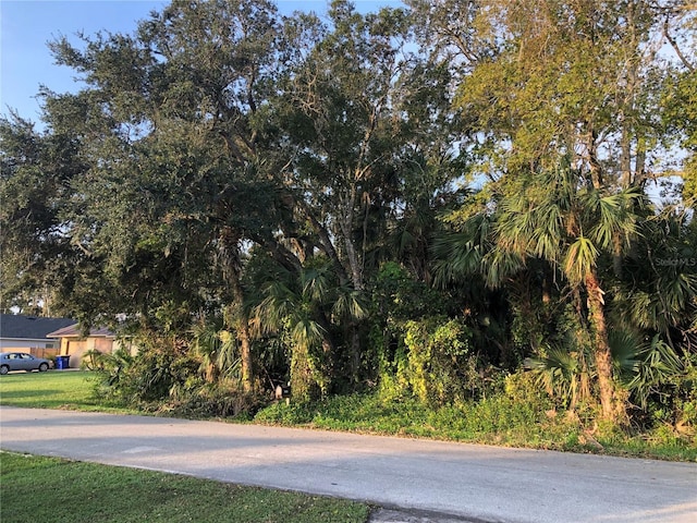 Queen Palm Dr, Edgewater, FL 32141 - photo 1