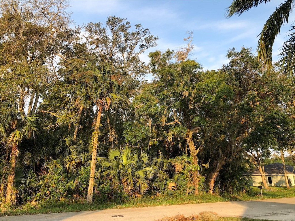 Queen Palm Dr, Edgewater, FL 32141 - photo 2