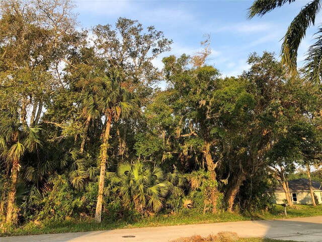 Queen Palm Dr, Edgewater, FL 32141 - photo 2