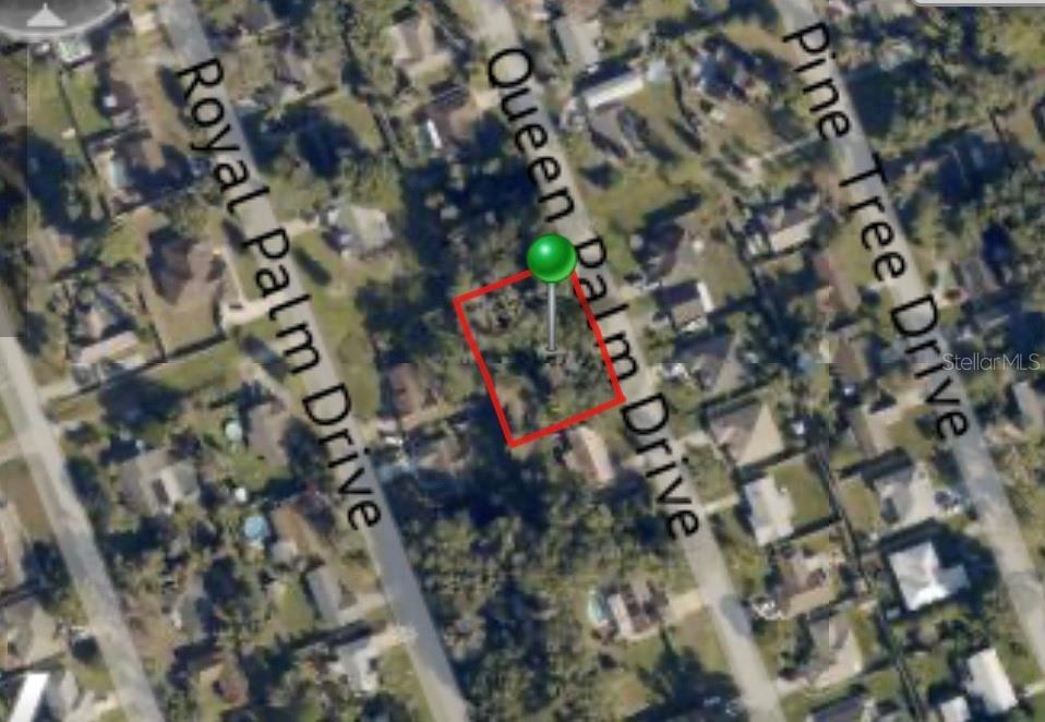 Queen Palm Dr, Edgewater, FL 32141 - photo 3