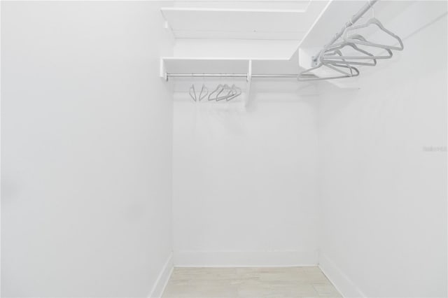 walk in closet with light wood-type flooring