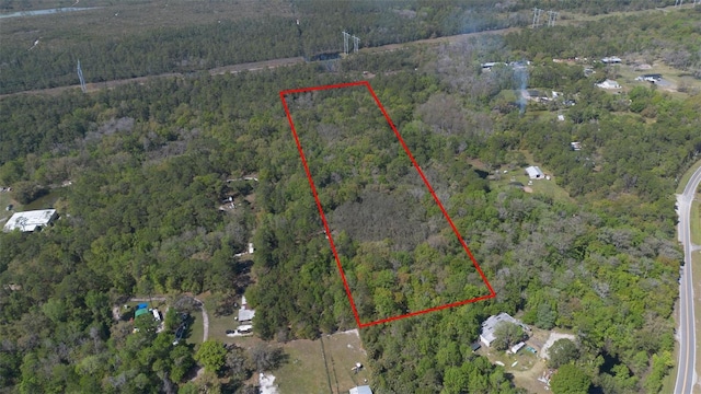 Jungle Rd, Geneva FL, 32732 land for sale