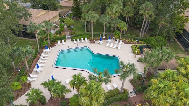 view of pool with a patio area