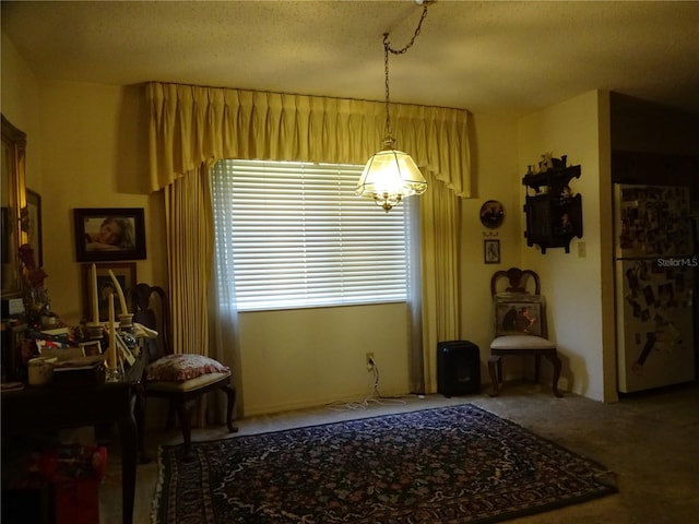 dining room with a textured ceiling and carpet flooring