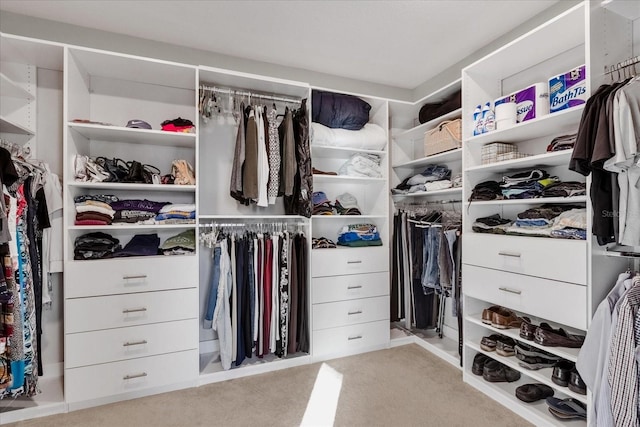 spacious closet featuring light carpet