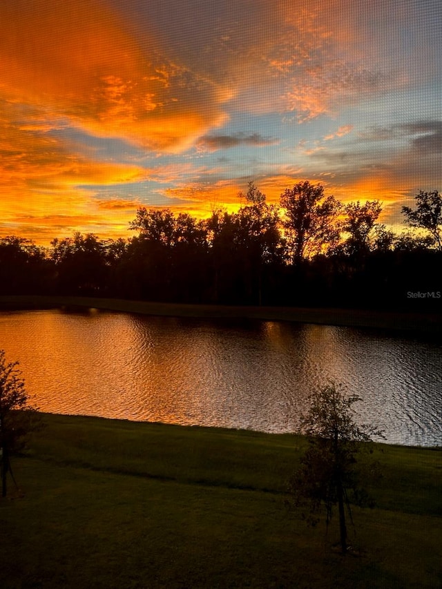 property view of water