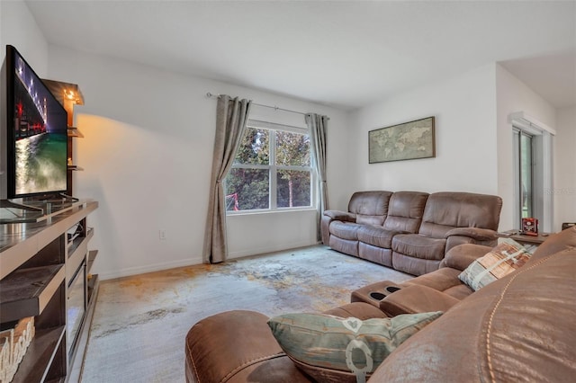 living room with light carpet