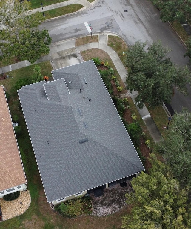 bird's eye view