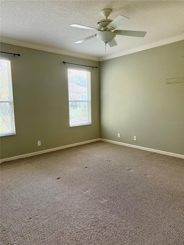 empty room featuring carpet flooring, a textured ceiling, ceiling fan, and crown molding