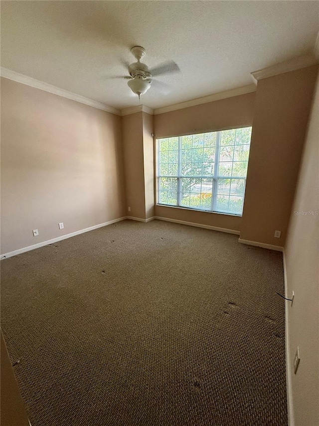 carpeted spare room featuring ceiling fan and ornamental molding