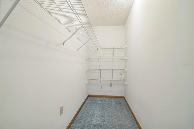 spacious closet featuring carpet floors