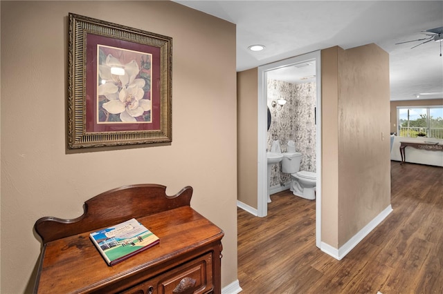 hall with dark hardwood / wood-style floors