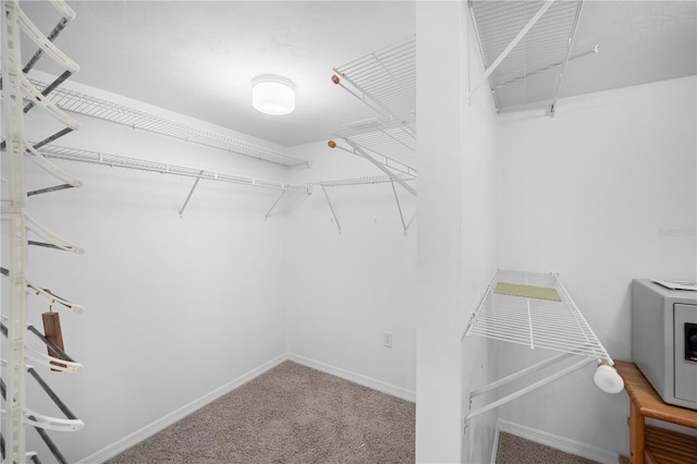 spacious closet with carpet flooring