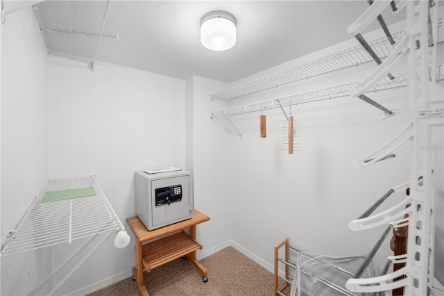 spacious closet featuring carpet floors