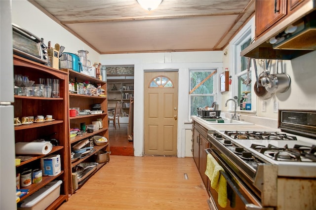 kitchen featuring light hardwood / wood-style floors, crown molding, white gas stove, and sink