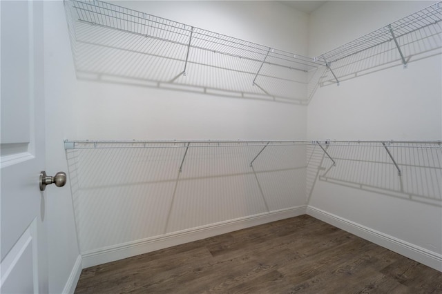 walk in closet featuring dark wood-type flooring