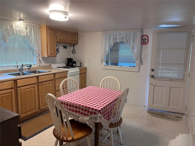 kitchen featuring white range and sink