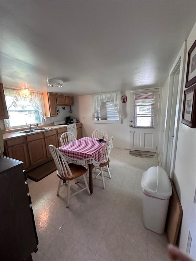 dining space with sink and a wealth of natural light