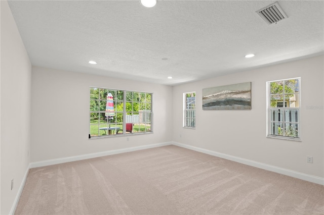 empty room with light carpet and a wealth of natural light