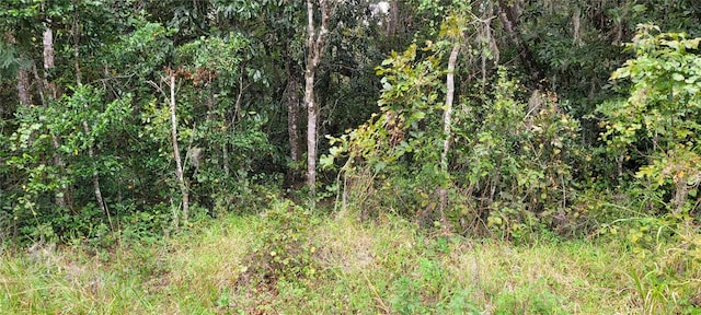 Ridgewood Ave, De Leon Springs FL, 32130 land for sale