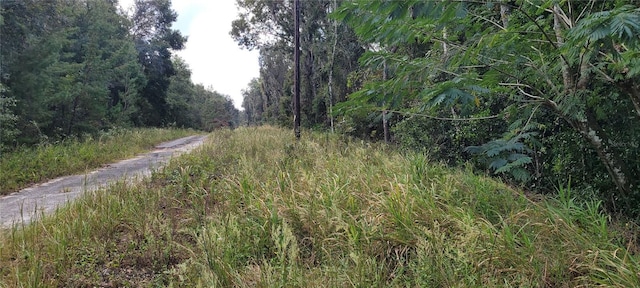 Ridgewood Ave, De Leon Springs, FL 32130