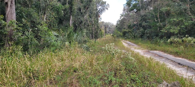 Listing photo 3 for Ridgewood Ave, De Leon Springs FL 32130