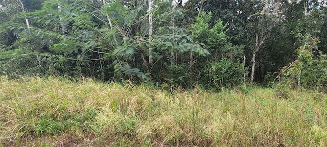 Ridgewood Ave, De Leon Springs, FL 32130