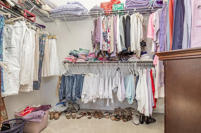 walk in closet with carpet flooring