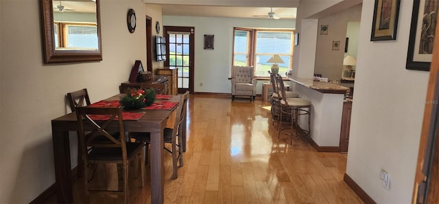 dining area with ceiling fan and light wood-type flooring