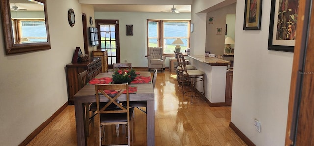 dining area with ceiling fan and light wood-type flooring