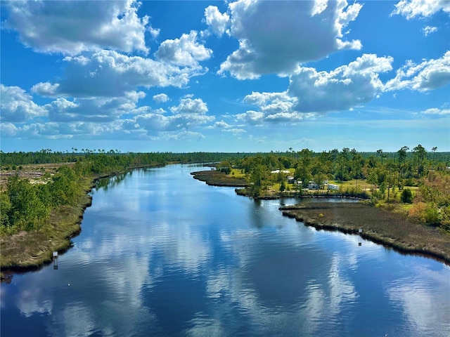 property view of water featuring a forest view