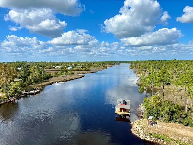 water view featuring a boat dock and a wooded view