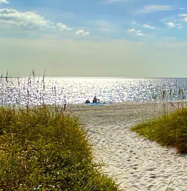 water view with a view of the beach