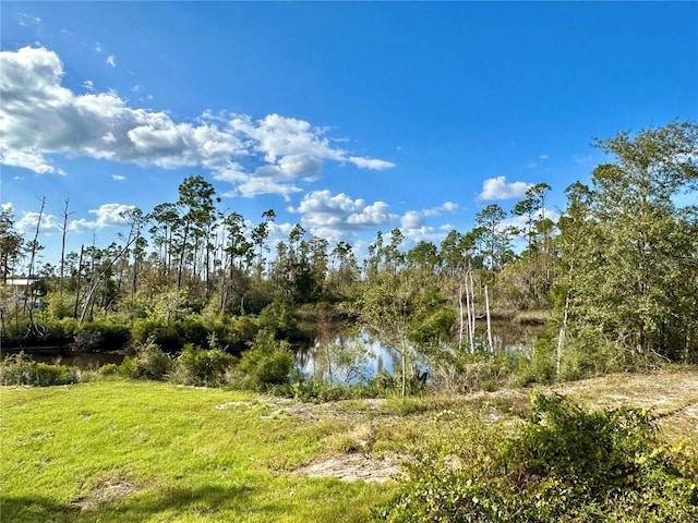 view of local wilderness featuring a water view