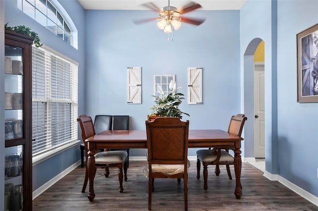 dining space featuring ceiling fan, dark hardwood / wood-style flooring, and plenty of natural light