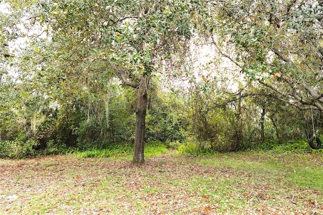 view of local wilderness