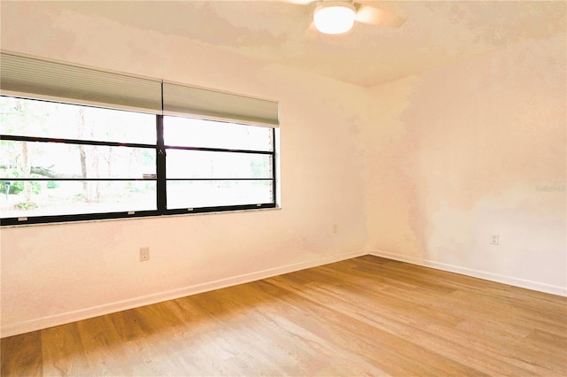 empty room with wood-type flooring