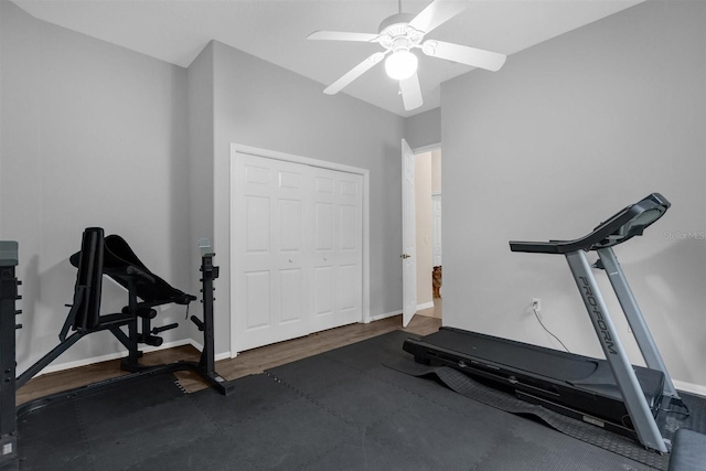 exercise room featuring dark wood-type flooring and ceiling fan