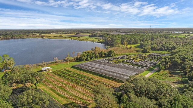 00 Mcbride Rd, Seville, FL 32190