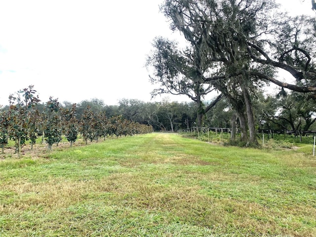 00 Mcbride Rd, Seville, FL 32190