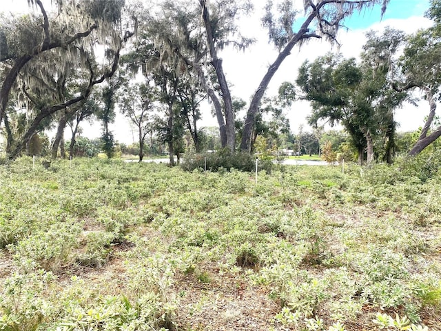 00 Mcbride Rd, Seville, FL 32190